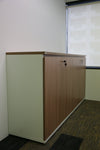 Wooden Swing Door Cabinet