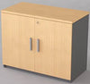 Wooden Swing Door Cabinet